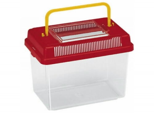 حوض بلاستك للطيور والاسماك والسلاحف الصغيرة - حجم...