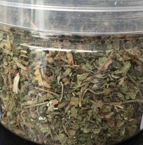 كاتنيب القطط عشبة النعناع البري - 100 جرام