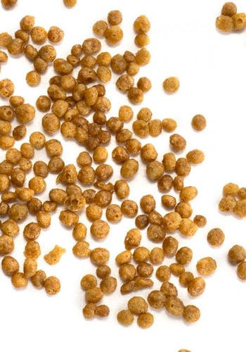 غذاء انتاج الببغاوات الصغيره والمتوسطة سيتاكوس PSI...