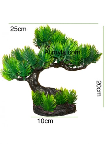 شجر نبات زينة حوض السمك