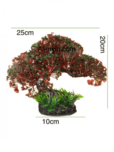 شجر نبات زينة حوض السمك