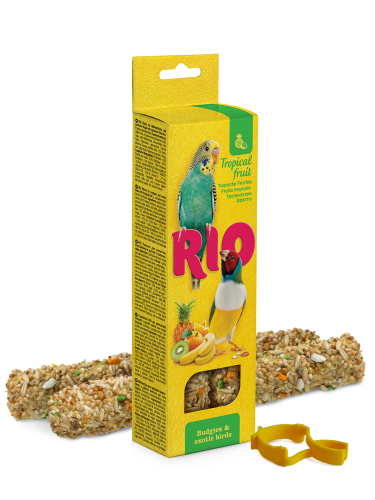 ريو مكافآت طيور البادجي والزيبرا بالفواكه الاستوائ...