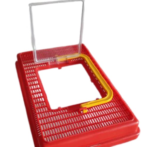 حوض بلاستك للطيور والاسماك والسلاحف الصغيرة - حجم...