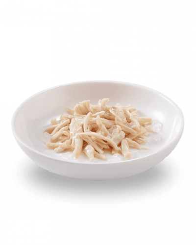 شيزر اظرف الدجاج الرطبة للقطط الصغيرة في الجيلي Sc...