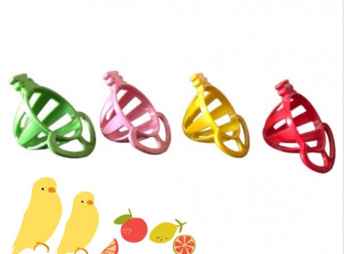 حامل طعام وفواكه للطيور الصغيرة والمتوسطة – Bird F...