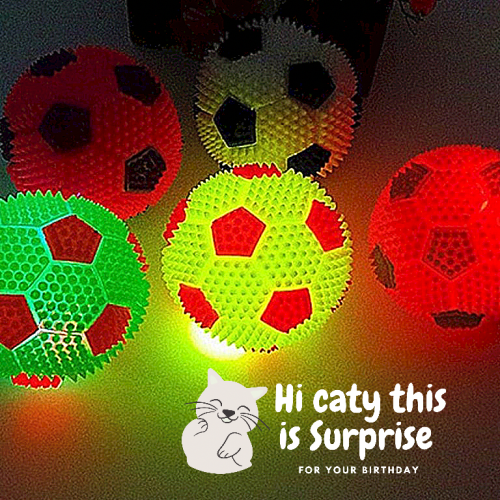 كرة مضيئة للقطط والحيوانات الاليفة - حجم صغير