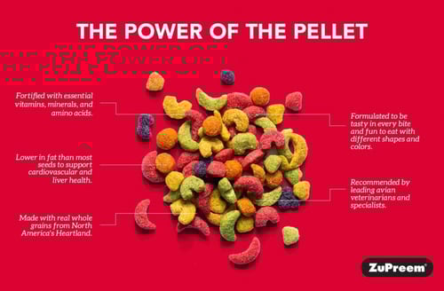 زوبريم فروت للكنيور و الكروان والروز والطيور المتو...