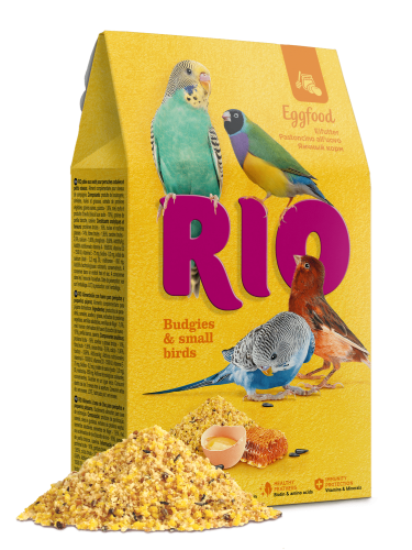 ريو خليط البيض للبادجي والكناري والزيبرا ( باتيه )...