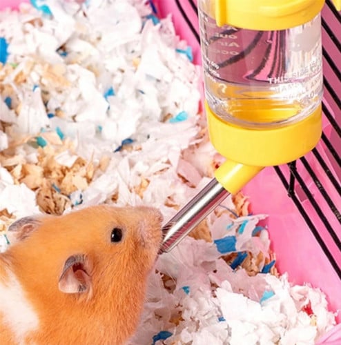 مشربية بالتنقيط - 80 ml - ألوان متعددة