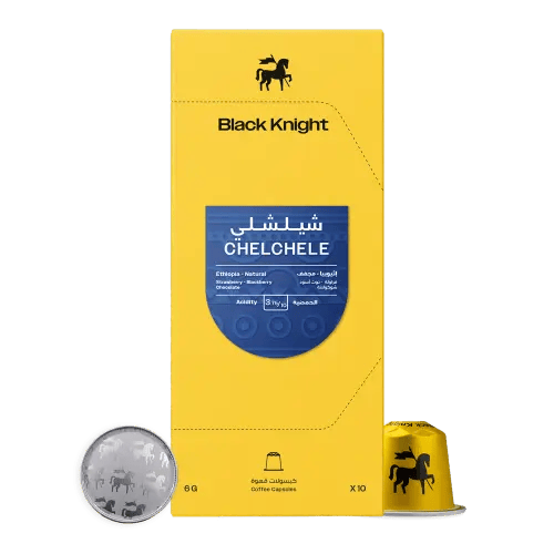 كبسولات شيلشلي بلاك نايت