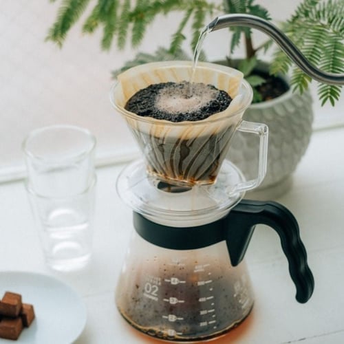 هاريو – قمع الترشيح بيغاسوس 02