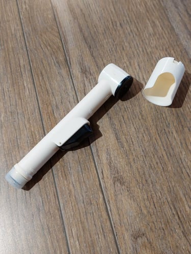 راس شطاف مورس الاصلي