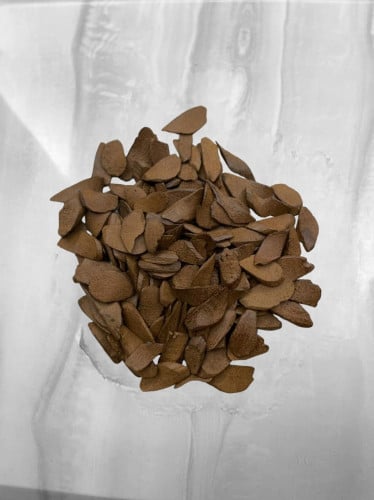 خشب عود مروكي بالمستكه