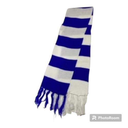 Hood of Al Hilal club