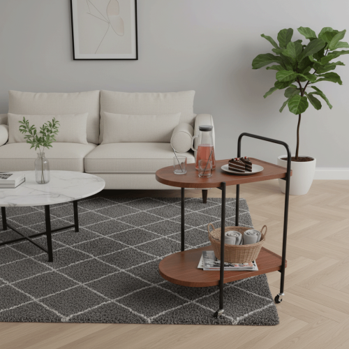 عربه تقديم بتصميم عملى ومميز