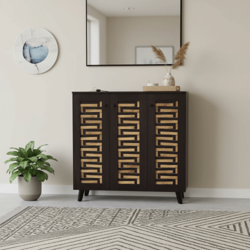 دولاب أحذية بـ3 أبواب بتصميم عصري وأنيق