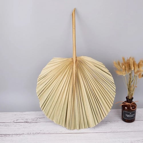 سعف نخل طبيعي مجفف