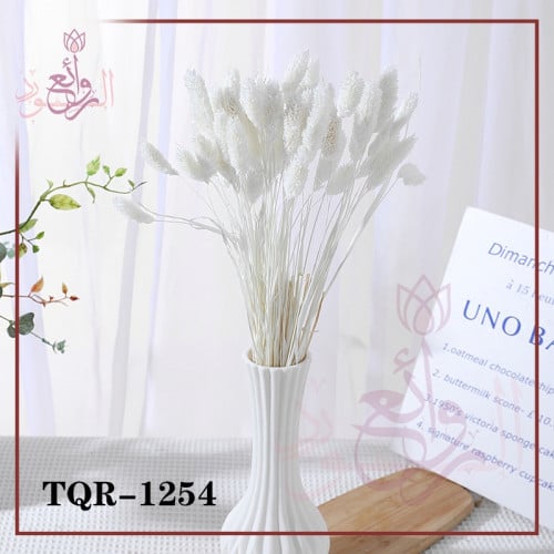 فوارس مجفف طبيعي