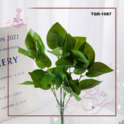 باقات ورق اخضر