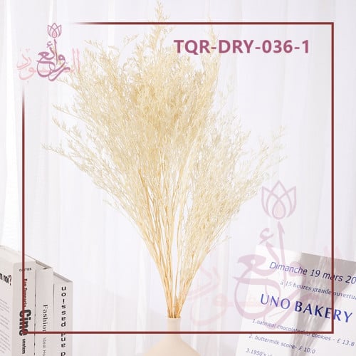 باقات زهره الكرستال مجفف