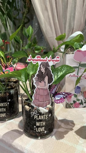 نبته العيد صغيره