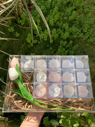 بوكس شفاف توزيعات 13 قطعه