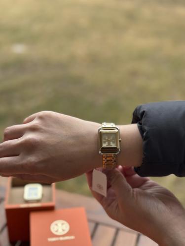 ساعة توري بورش