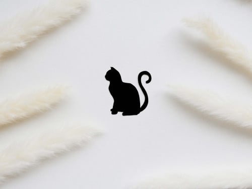 ملصق قط كينتا