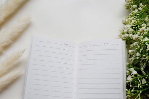 دفتر مذكرة بتصميم نباتات (متنوع)