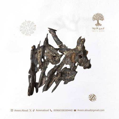 نجالاند غابات فاخر 142 - G2