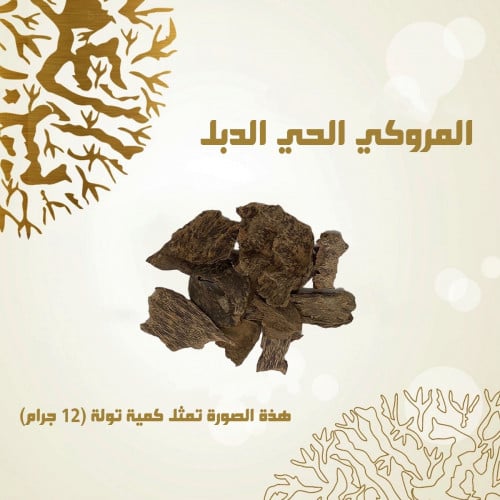 المروكي الحي الدبل - O10010099