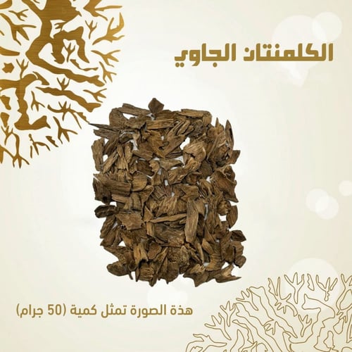 الكلمنتان الجاوي - O100100148