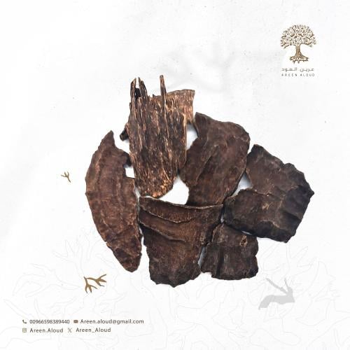 الهندي الجار الخاص - O10010122