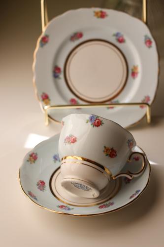 ثُلاثية الأزهار الرقيقة