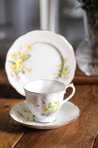 مجموعة رقيقّة من رويال آلبرت