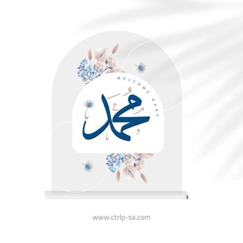 استاند استقبال مولود ثلجي مع اسم بارز