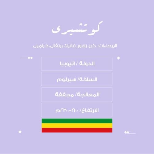 محمصة نسج كوتشيرى -اثيوبيا-مجففة 250g
