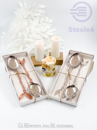 طقم شوكة وملعقة استيل