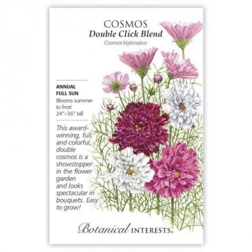 بذور كوسموس مزدوجة - Double Click Blend Cosmos See...