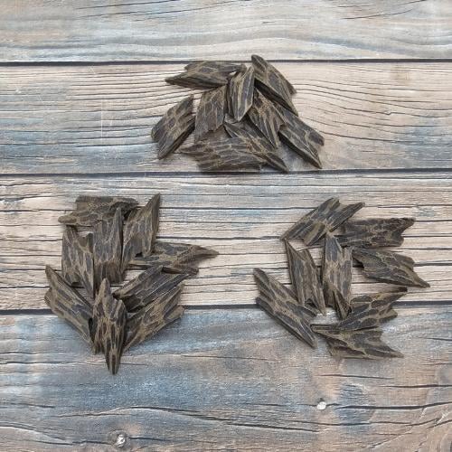 عرض التايقر أوقيتين والثالثة مجانا