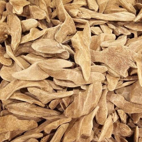 لاوسي محسن فاخر (طبيعي محسن)