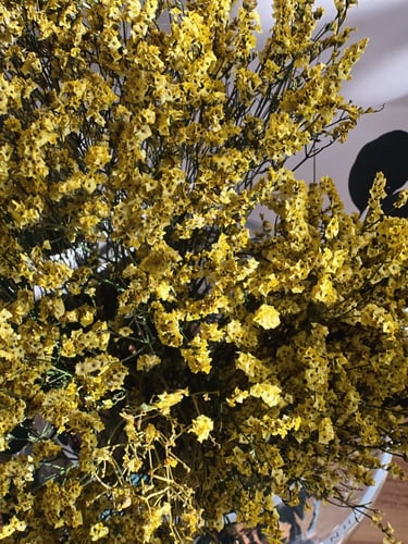 فازة بهجة دائمة زهور مجففة