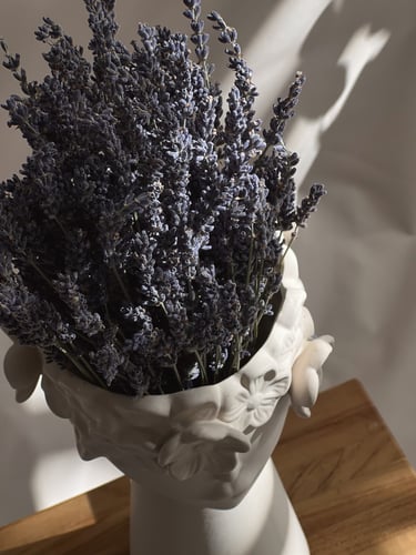 فازة Lady L لافندر