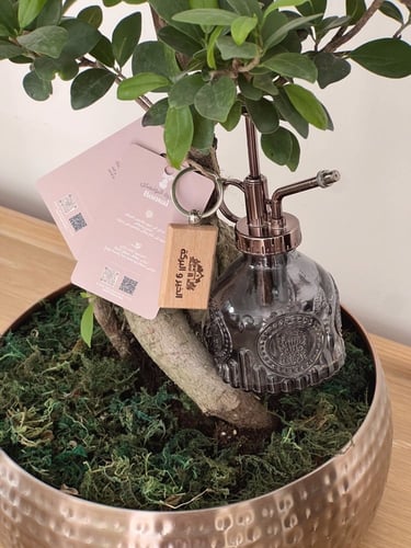 هدية شجرة البونساي | بركة