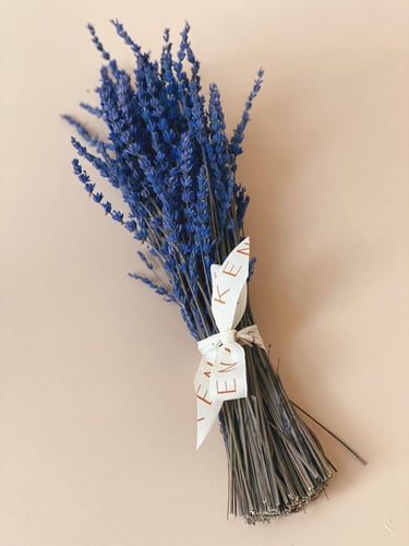 ربطة لافندر طبيعي منسقة