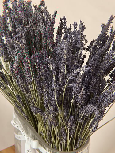 فازة لافندر طبيعي - كبير