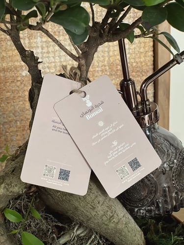 هدية شجرة البونساي | بركة