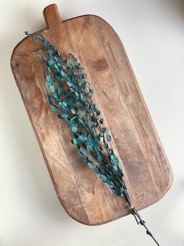 اغصان يوكالبتوس طبيعي مجفف - صغير