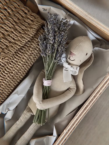 هدية مولودة | سارة