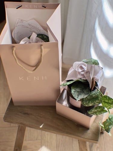 عيدية نبتة ملونة - فضي